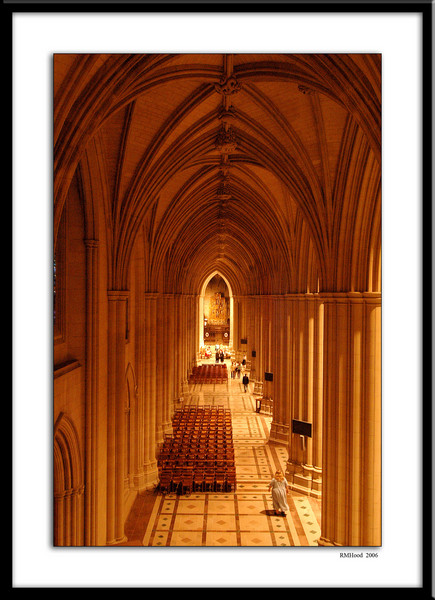 Nat Cathedral 3