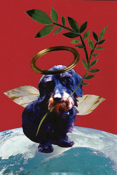Peace