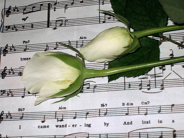 music and roses