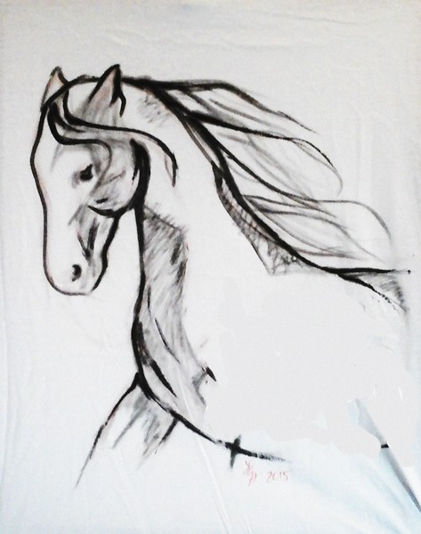 Horse Sketch
