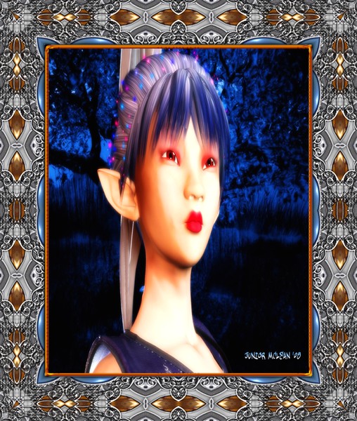 The Enchanted Warrior