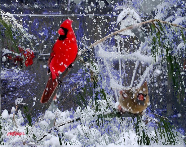 Snow Storm