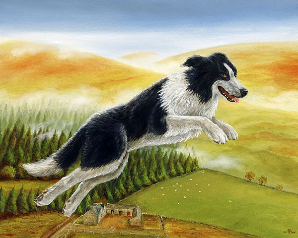 Holiday Collie