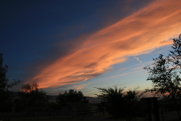 Tuesday Evening