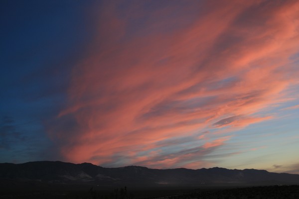 Tuesday Evening #5