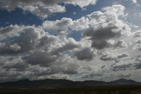 Cowboy Skys #2