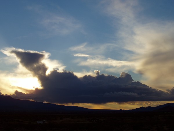 Evening Set #2