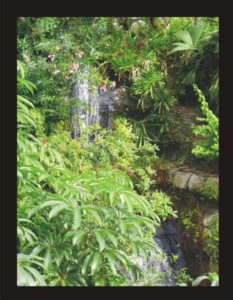Hidden Falls