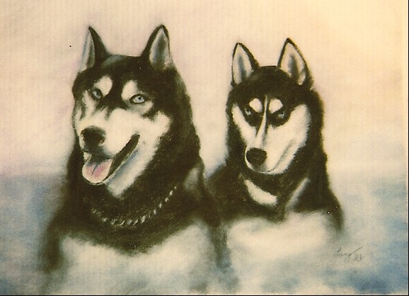 Huskies