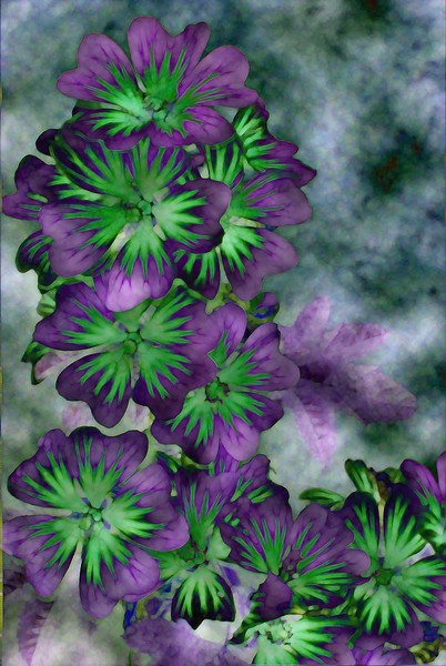 Spring Dream in Purple