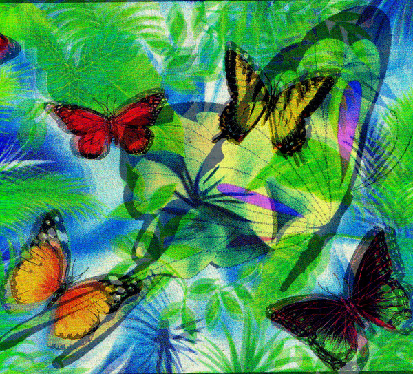 Collage Butterfly's In The Garden