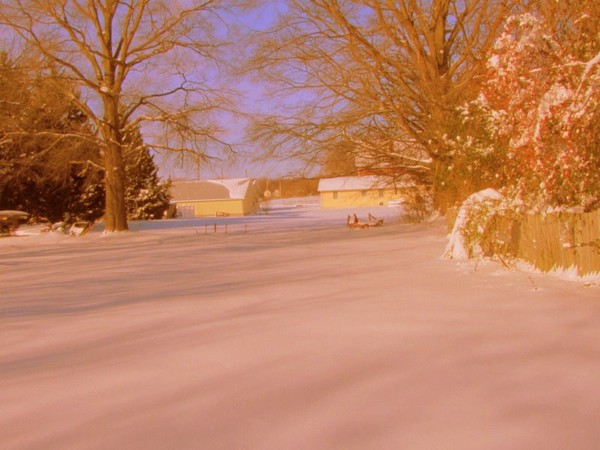 Snow in the back field.