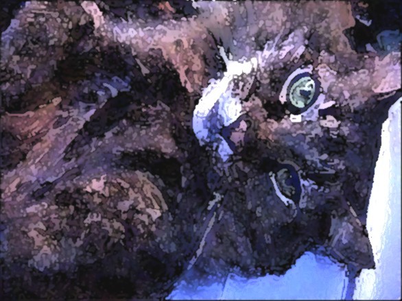 MON CHAT WATERCOLOR