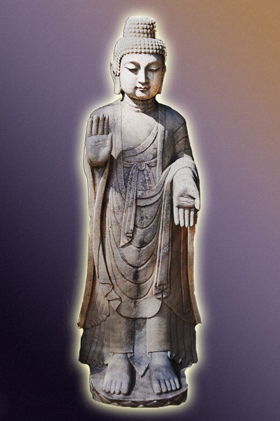 Buddha's Palm