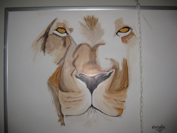 my lion