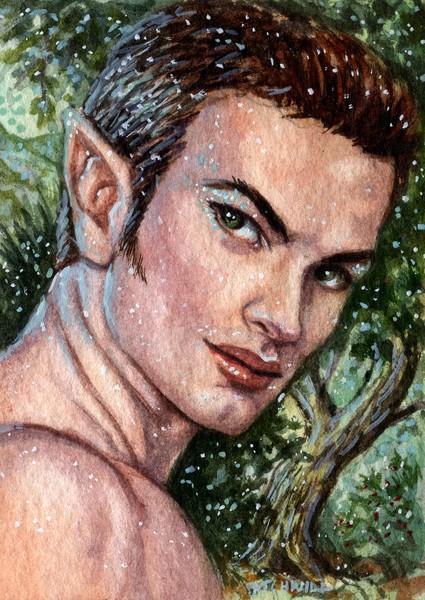 Faerie Prince