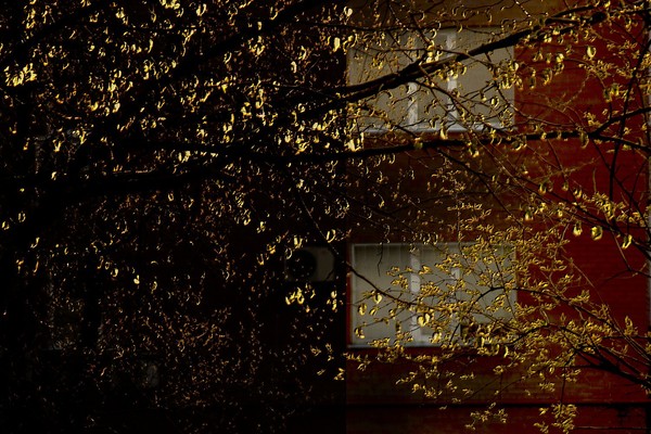 april. gold on black