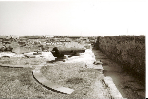 Cannon