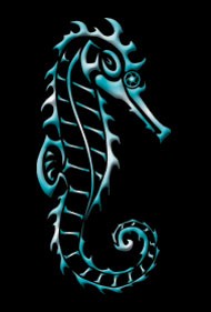Sea Horse