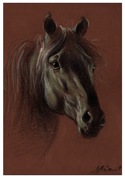 Horse head