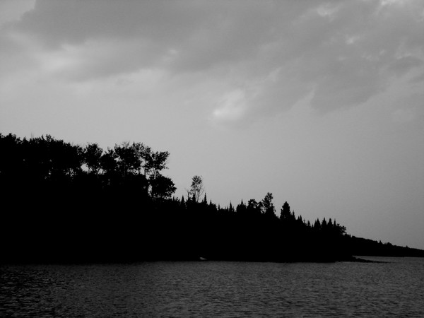 Brooding