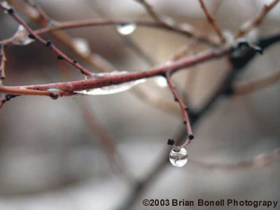Waterdrop
