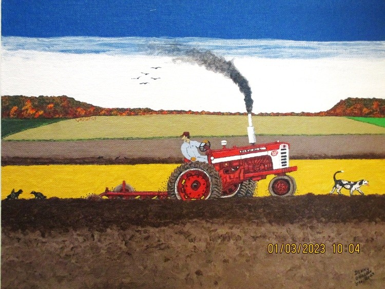 IH 560 Diesel Farmall  plowing -1950's- 1960's