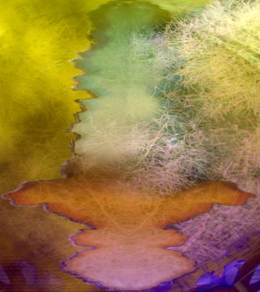 Tree Collage