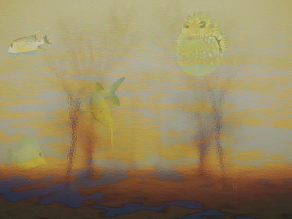 yellow river