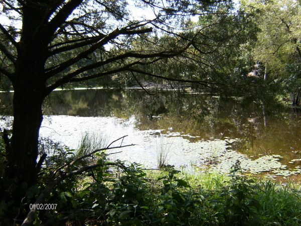 Lake photos