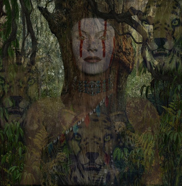 Eyes of the forest