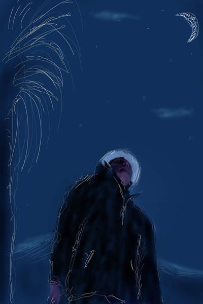 Under a Desert Moon