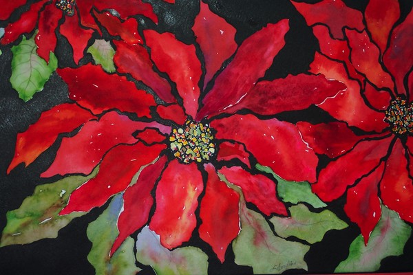 Pointsettia