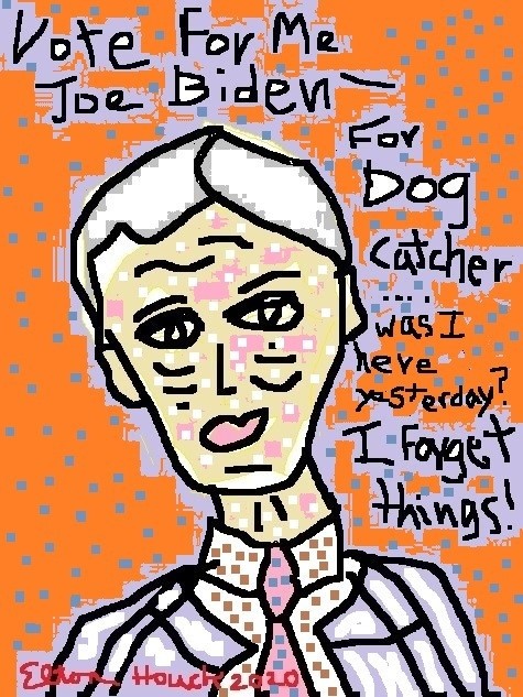 joe again .(C) 2020 ELTON HOUCK