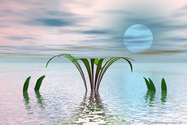Flooded