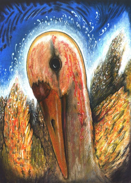 Waterbird (second)