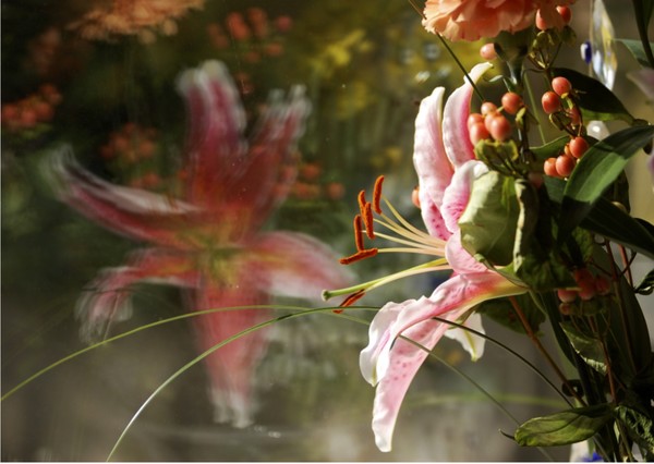 Flower No.005
