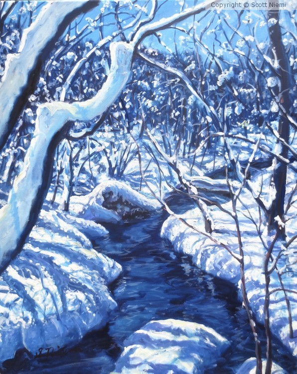 Winter Splendor