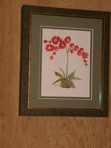 Orchids
