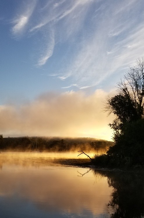 Fog on the River