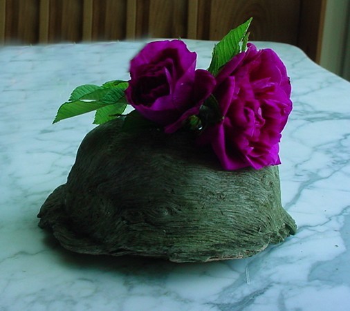 Wild Rose