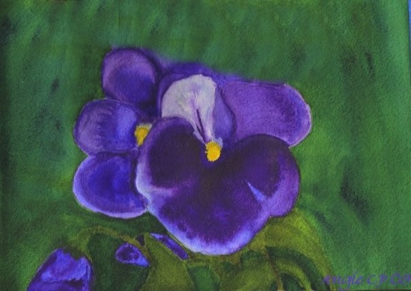 Blue Pansy
