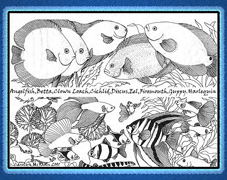 Tropical Aquarium Fish Study