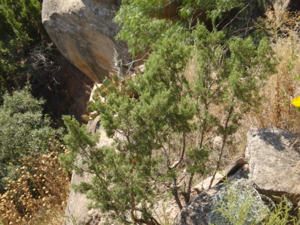 Palo Duro Canyon