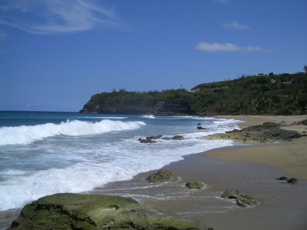 The ocean