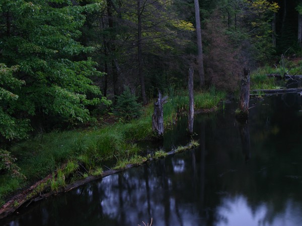 Reflections