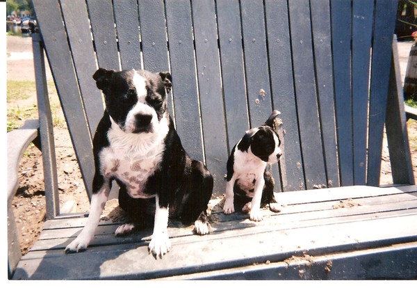 Petunia and Sweetpea