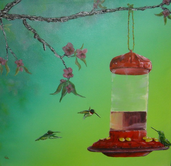 Ruby Throated Feeding Frenzy
