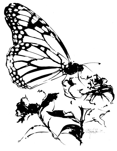 Butterfly #2