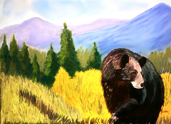 Bear Country